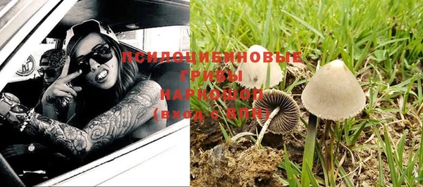 мдпв Березники