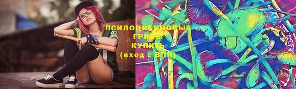 2c-b Мегион