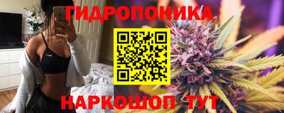 мяу мяу мука Бийск