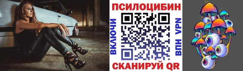 закладки  Вичуга  Галлюциногенные грибы ЛСД 
