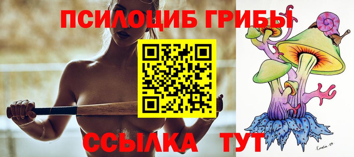 Псилоцибиновые грибы Psilocybe  Вход с VPN  Галлюциногенные грибы мухоморы  Вичуга 