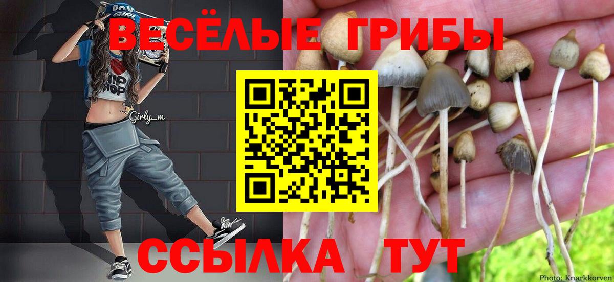 Галлюциногенные грибы мицелий Вичуга